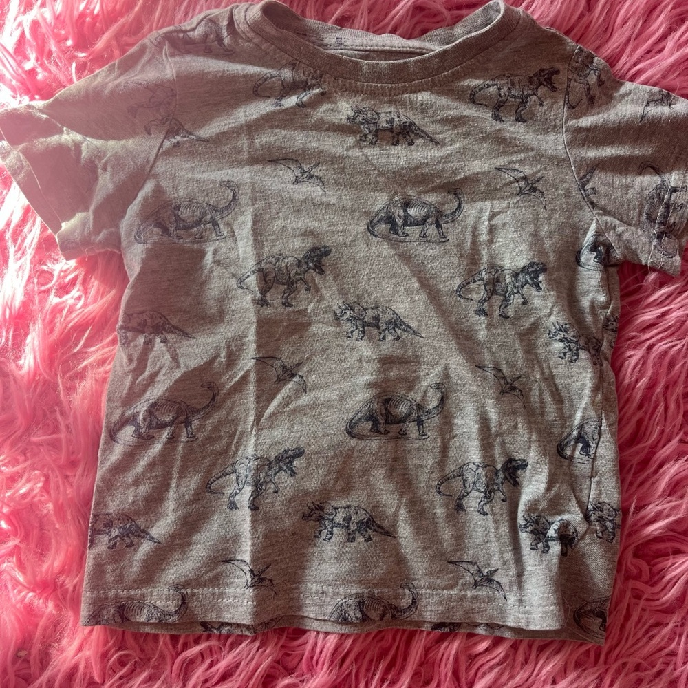 Lee Gray Dinosaur Print Kids Tee
